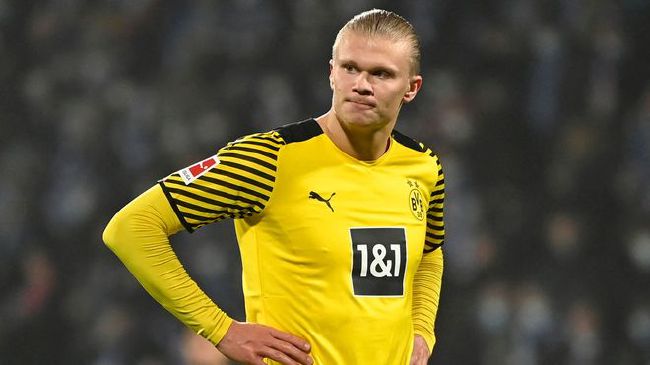 青青青伊人