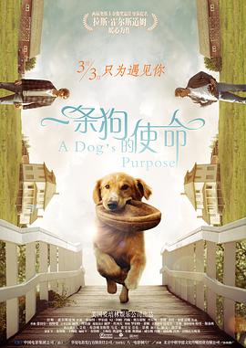国产精品直播网红