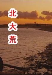 欧美一级色视频