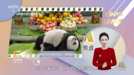 国产精品欧美日韩